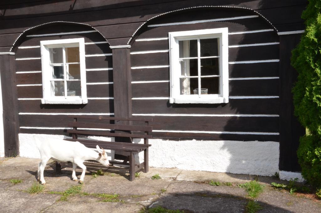 Penzion U Kozy Chribska Exterior photo