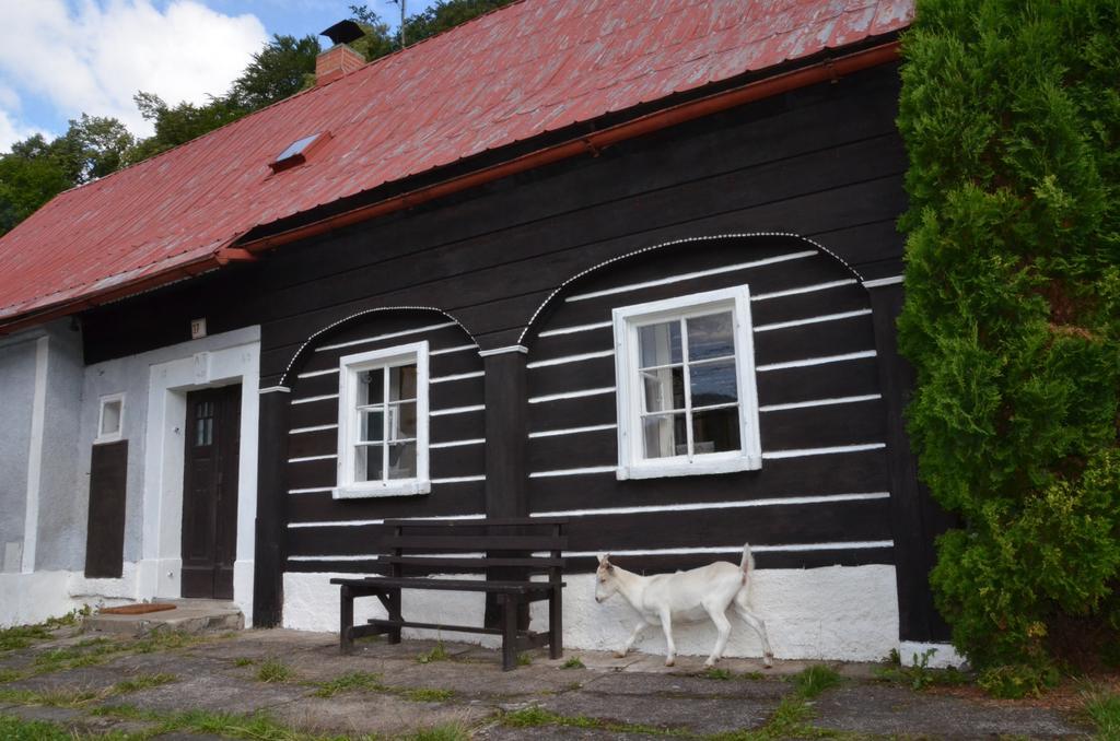 Penzion U Kozy Chribska Exterior photo
